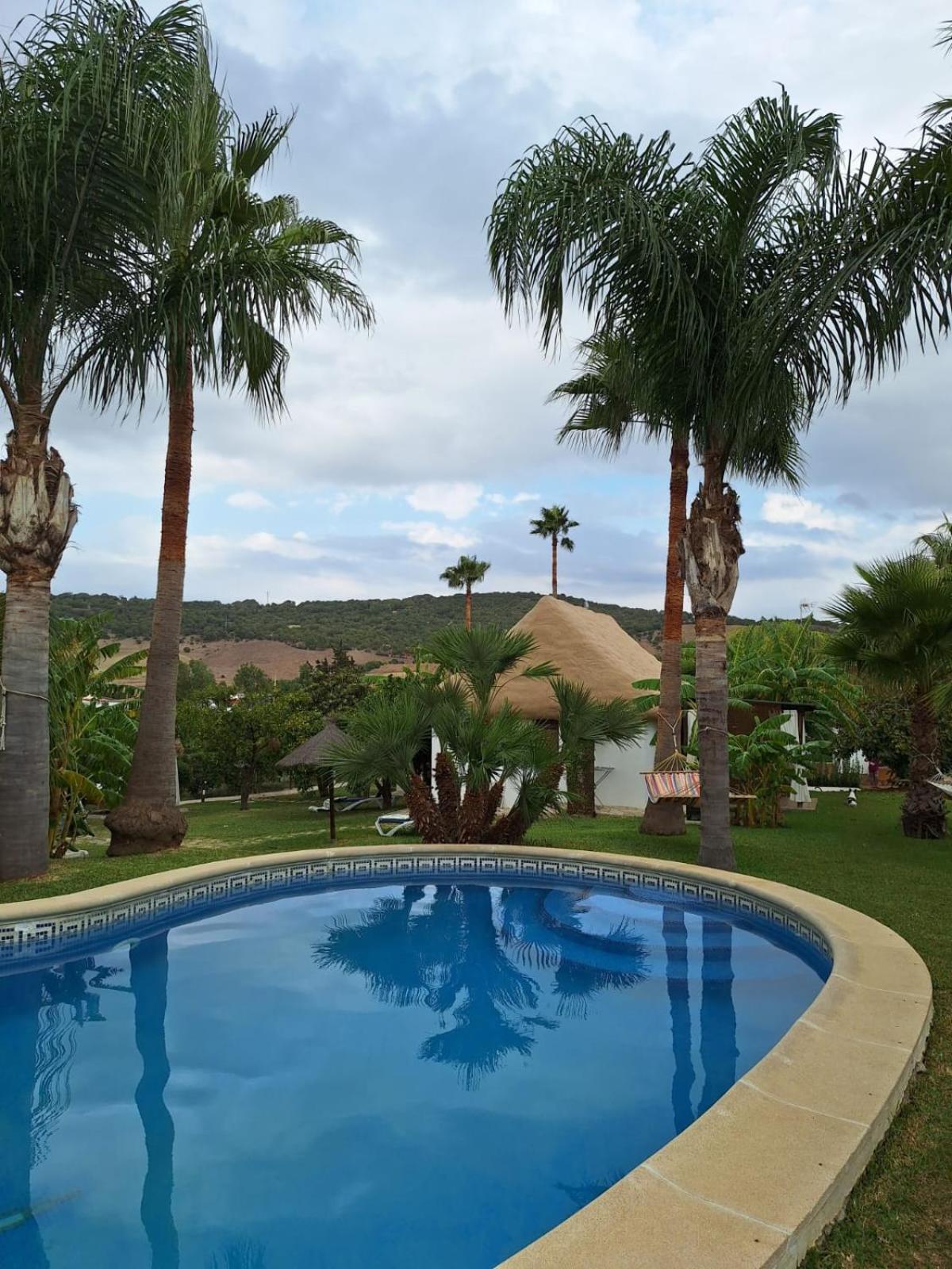 Finca El Abuelo Manuel Vejer de la Frontera Ngoại thất bức ảnh